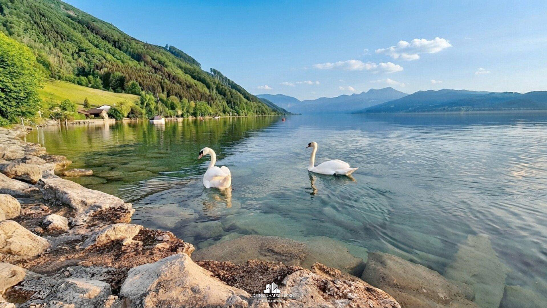 Malerischer Seeblick mit Bergen im Hintergrund und zwei Schwänen auf dem Wasser.