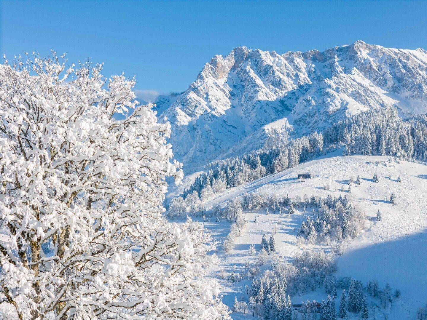 Sinalco 8er Kabinenbahn/Hochkönig