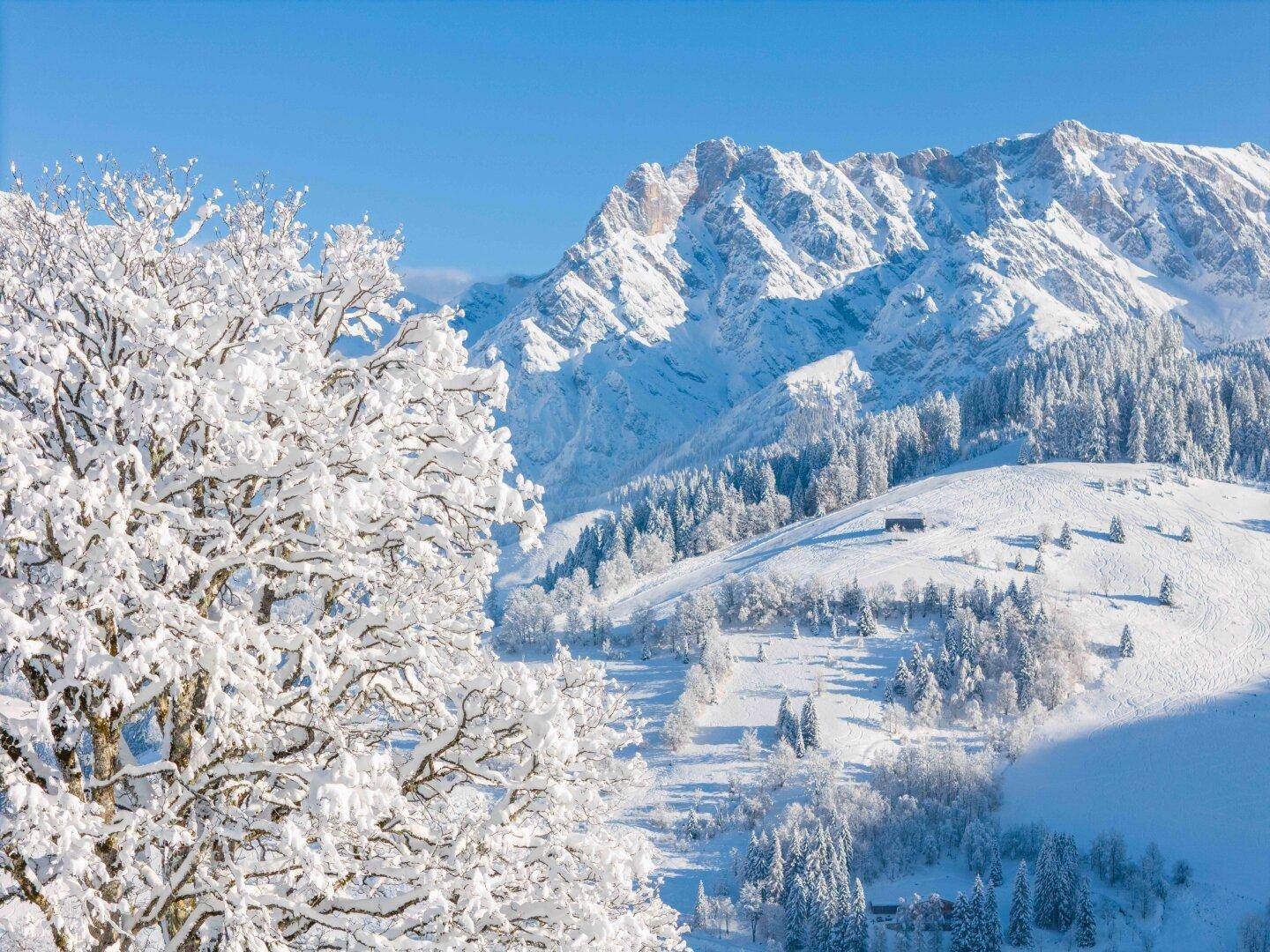 Sinalco 8er Kabinenbahn/Hochkönig