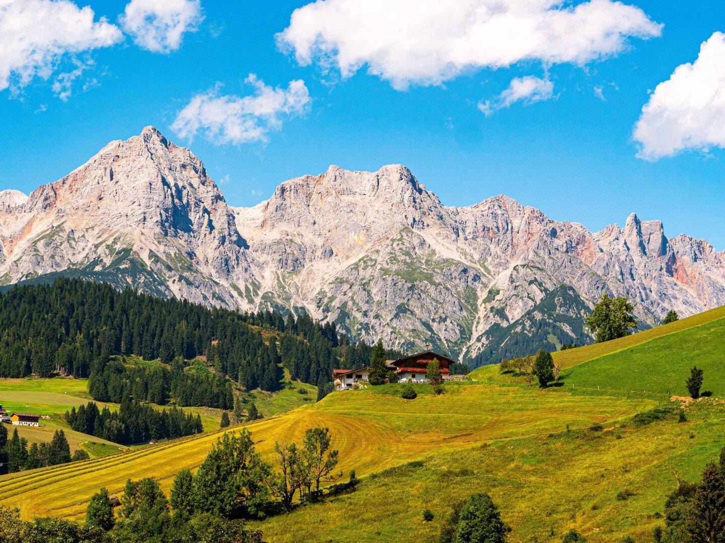 direkter Blick vom Haus aus