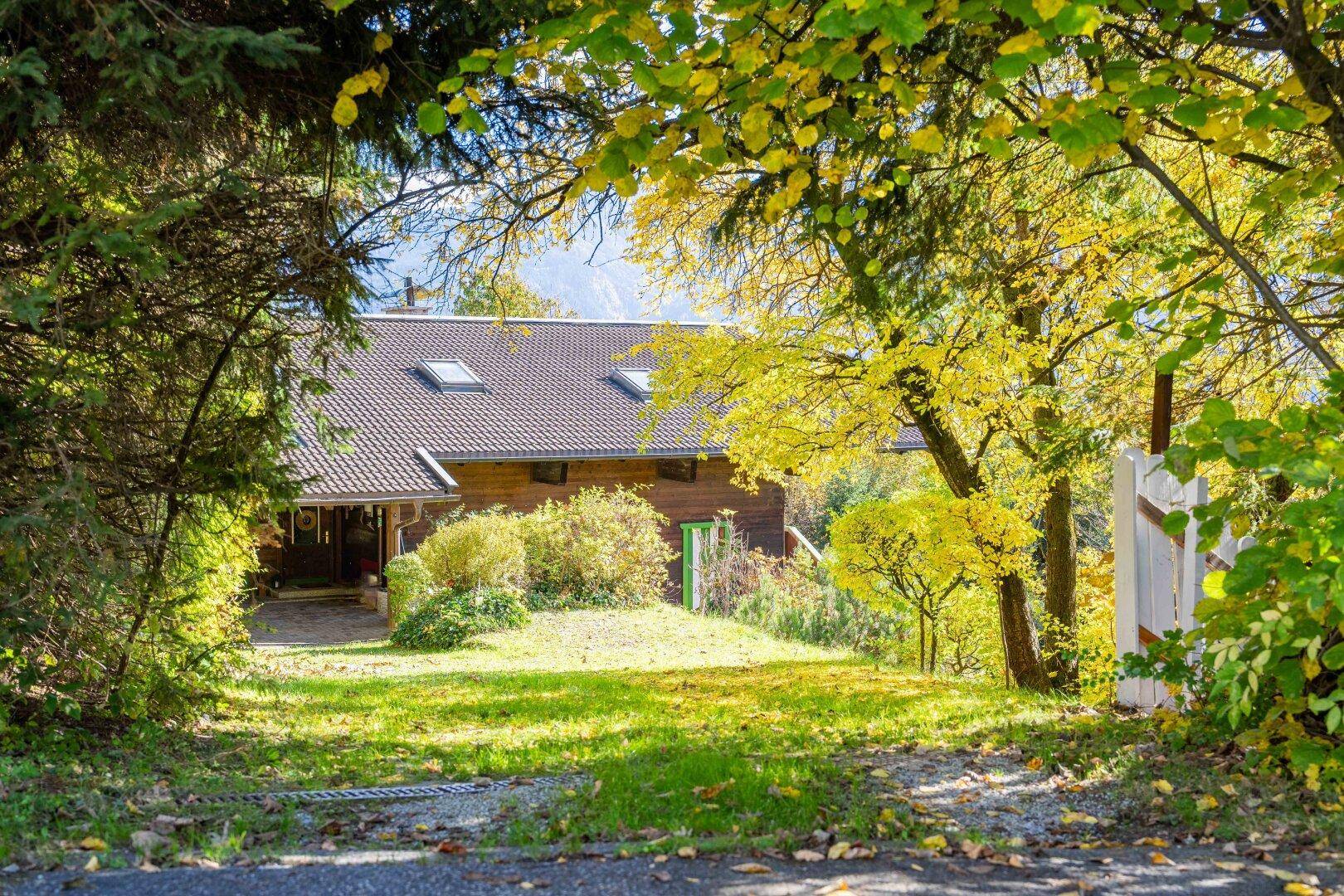 Zufahrt zum charmanten Holzhaus, umgeben von Bäumen und grüner Natur.
