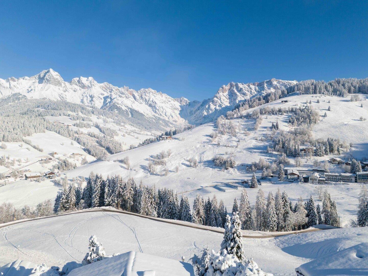 Weitläufige Winterlandschaft mit schneebedeckten Bergen und Tannenwäldern unter blauem Himmel.