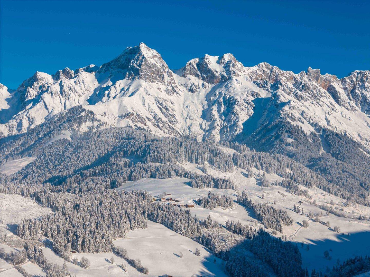 Majestätische schneebedeckte Berge und Wälder unter einem klaren blauen Winterhimmel.