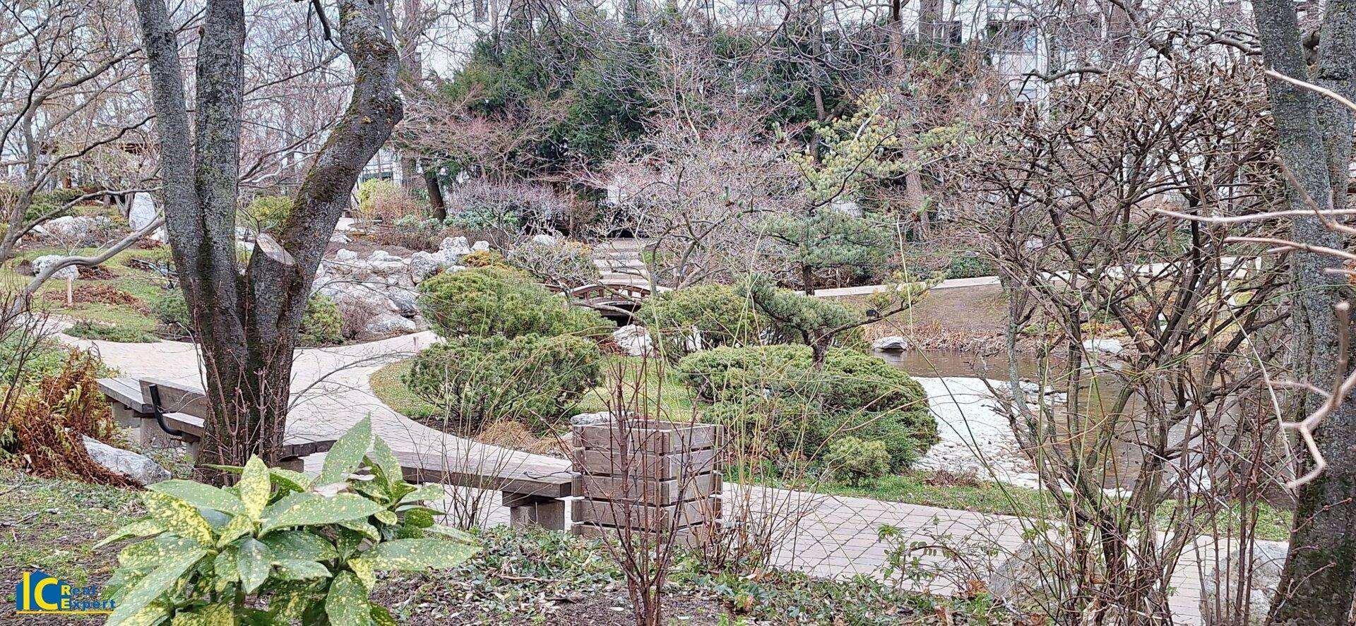 Japanischer Garten ganz nah