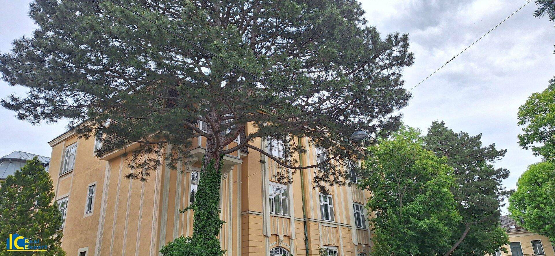 Schönes Mehrfamilienhaus