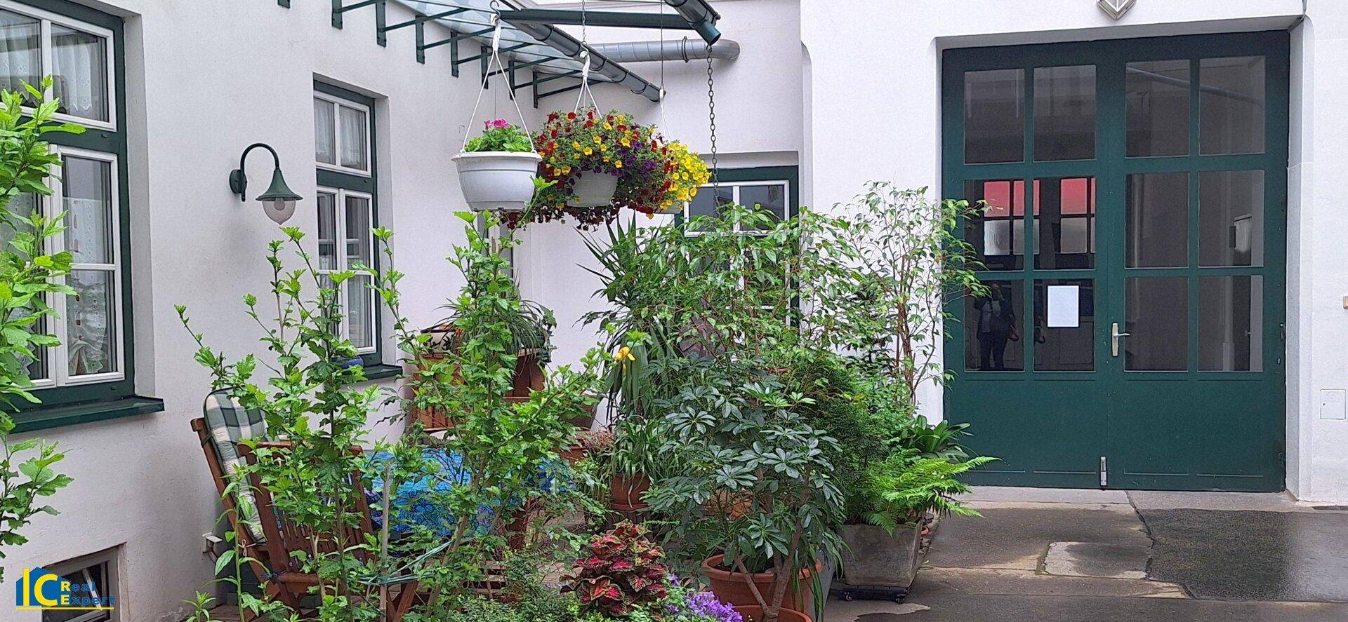 Private Grünoase im Hof