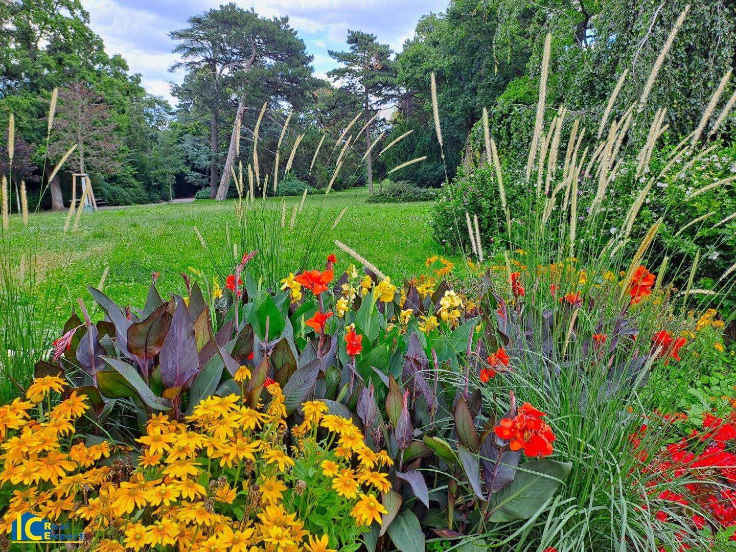 Farbenfrohes Blumenbeet mit verschiedenen Pflanzen und Gräsern in einem weitläufigen Park.