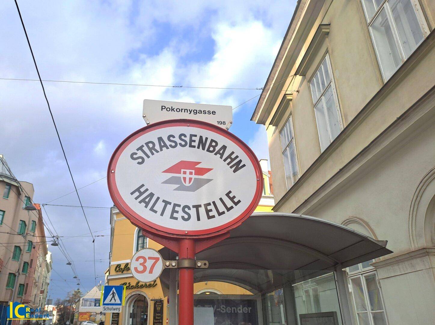 Sehr gute öffentliche Anbindung