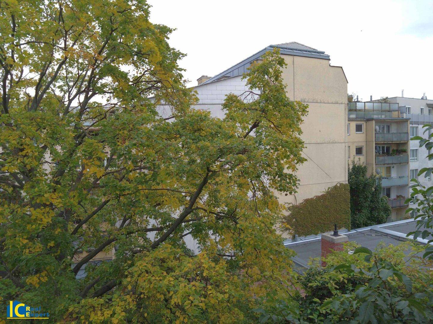 Ausblick