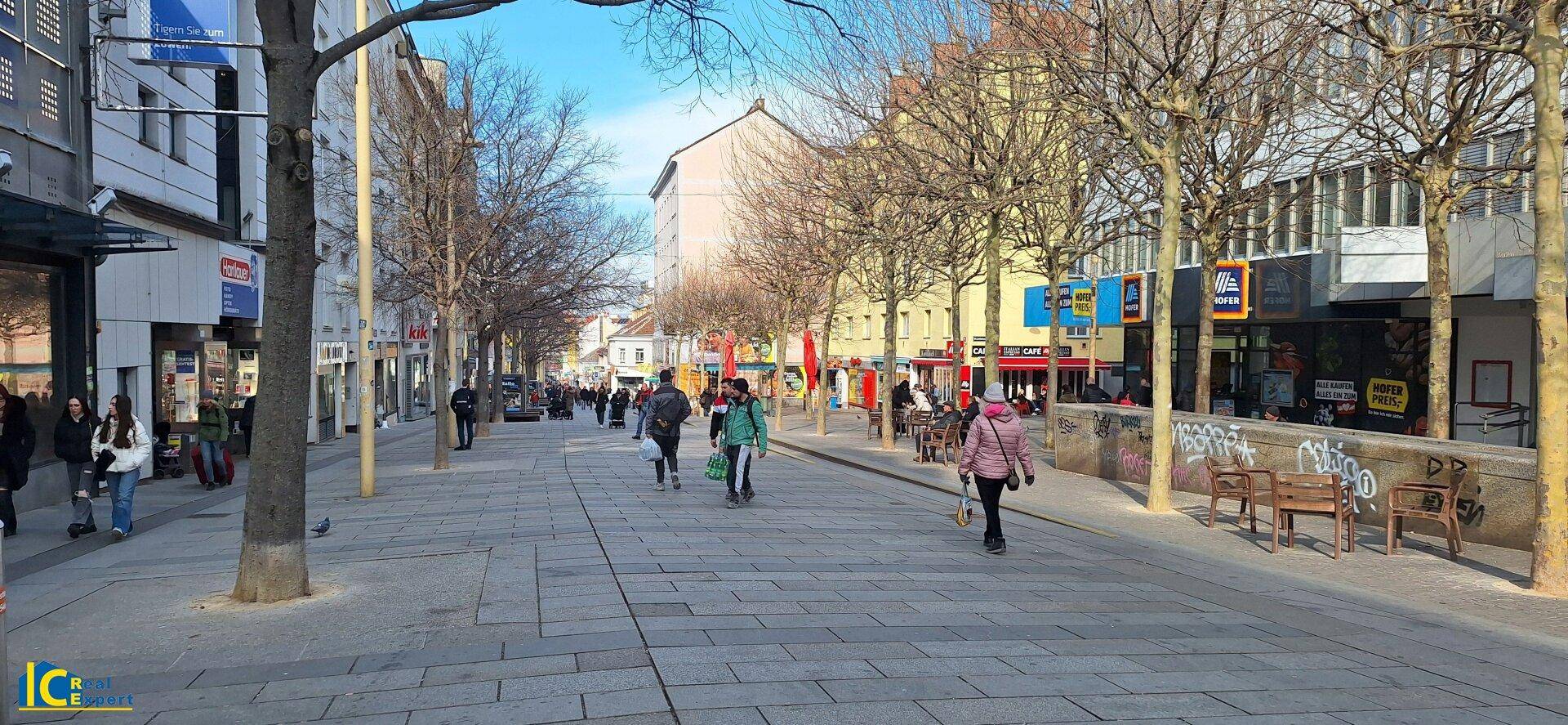 Belebte Stadtzentrum mit Fußgängerzone, Bäumen und Geschäften unter blauem Himmel.