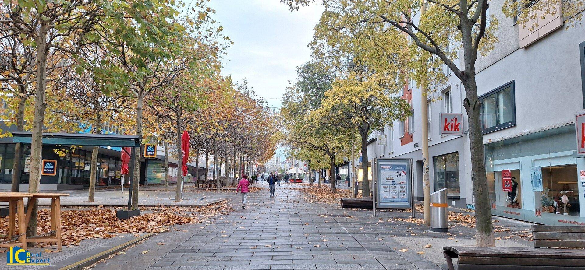 Herbstliche Fußgängerzone mit Bäumen, Laub auf dem Boden und Passanten an einem bewölkten Tag.