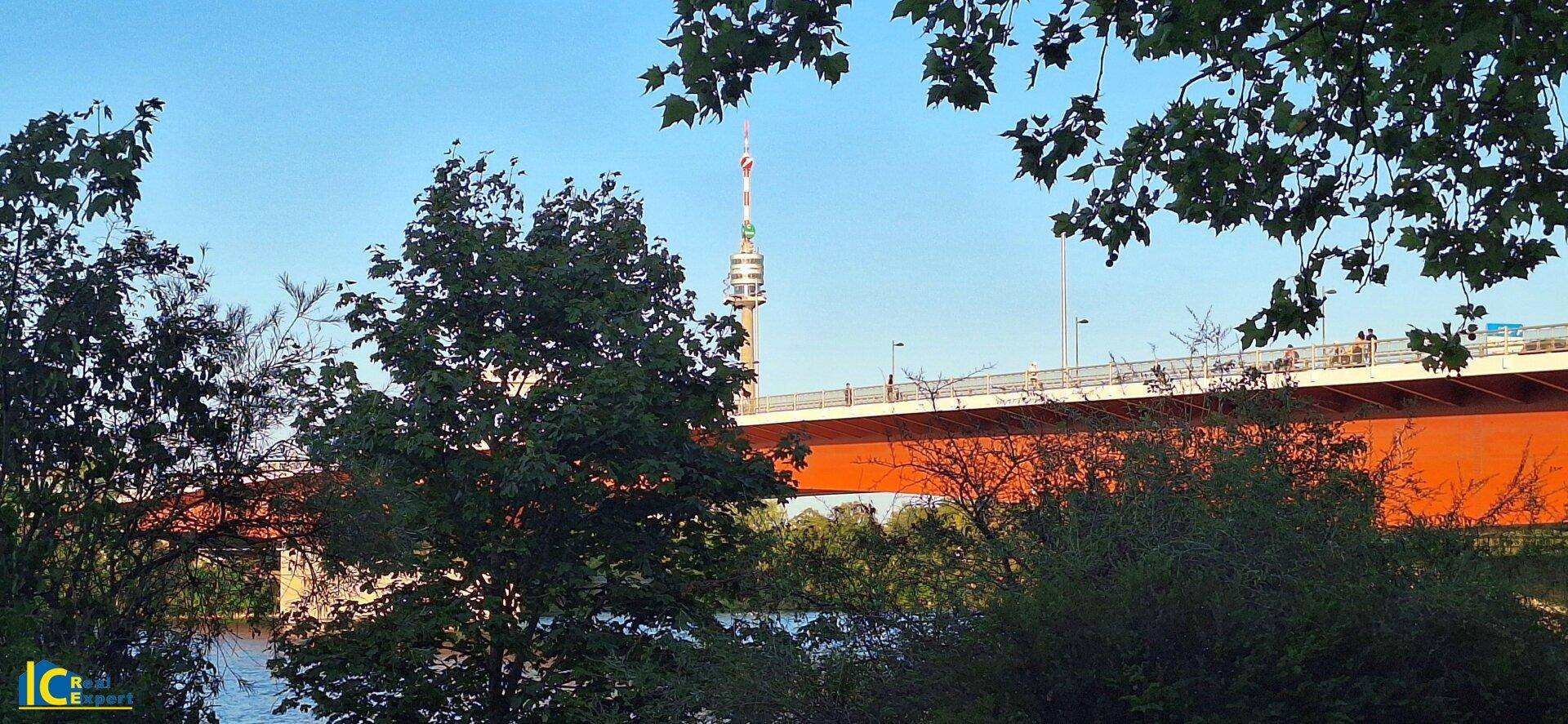 Blick auf die Donau mit einer roten Brücke und dem Donauturm im Hintergrund, umgeben von Bäumen.