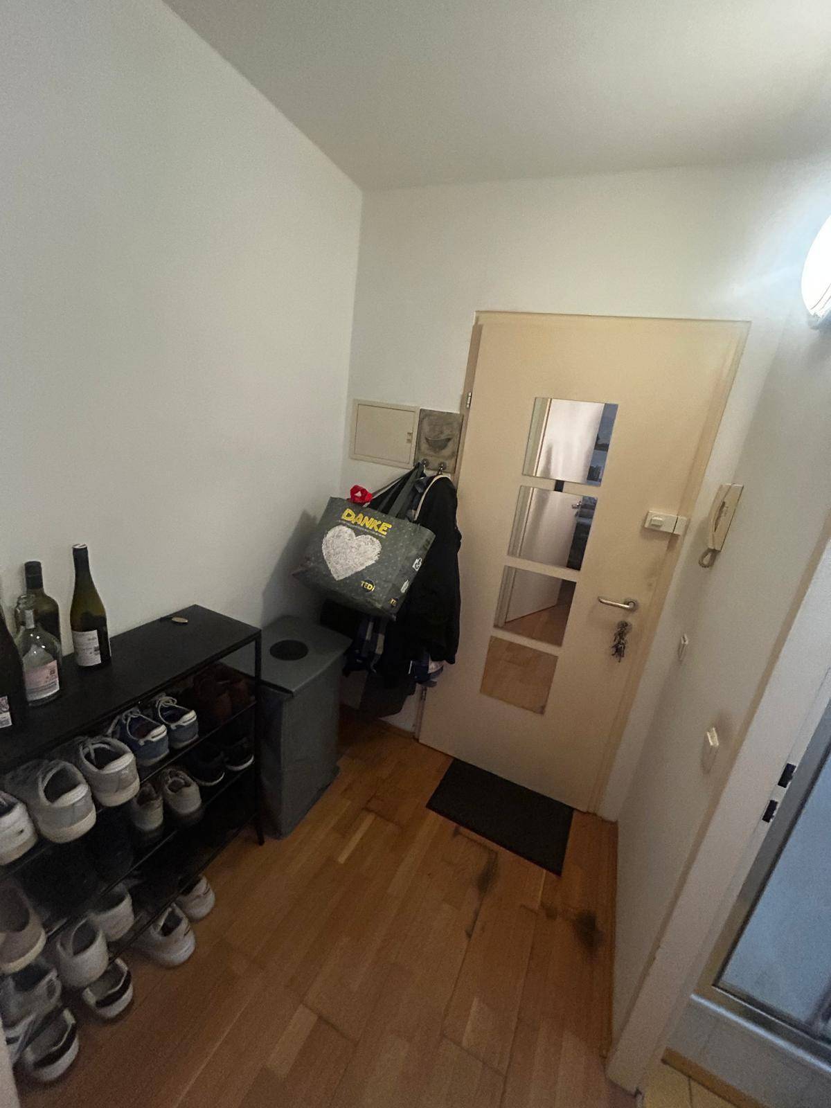 Eingangsbereich mit Holzboden, Schuhregal und Garderobe, hell und funktional gestaltet.