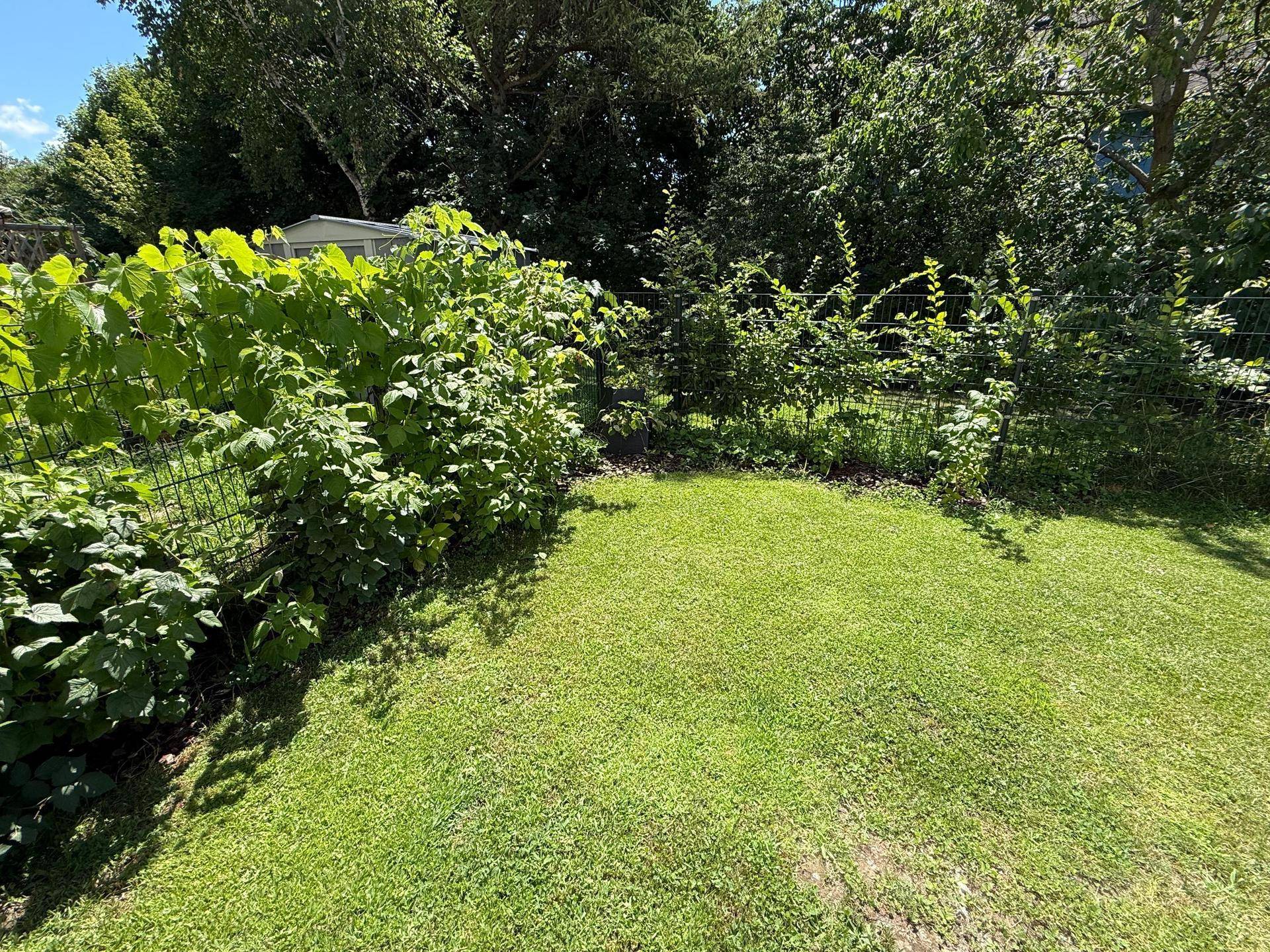 Gepflegter Gartenbereich mit Rasenfläche und üppiger Bepflanzung entlang des Zauns an einem sonnigen Tag.