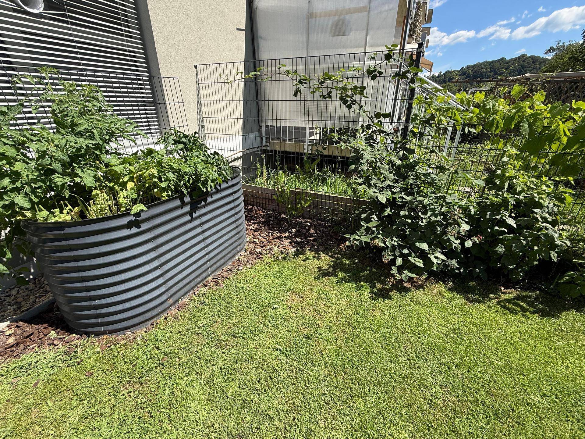 Gartenbereich mit einem Hochbeet aus Metall, Rindenmulch und üppiger Bepflanzung neben der Hausfassade.