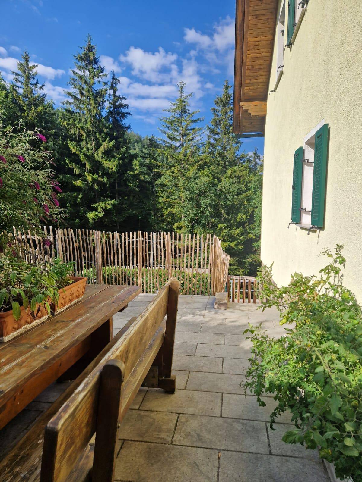 Rustikale Holzbank und Tisch auf einer gepflasterten Terrasse, umgeben von Pflanzen und Wald.