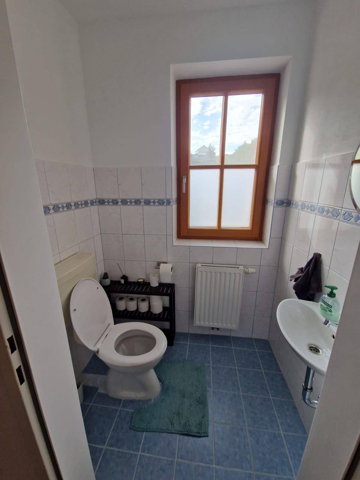 Kleines Gäste-WC mit Fenster, WC und Waschbecken in blauen Fliesen.