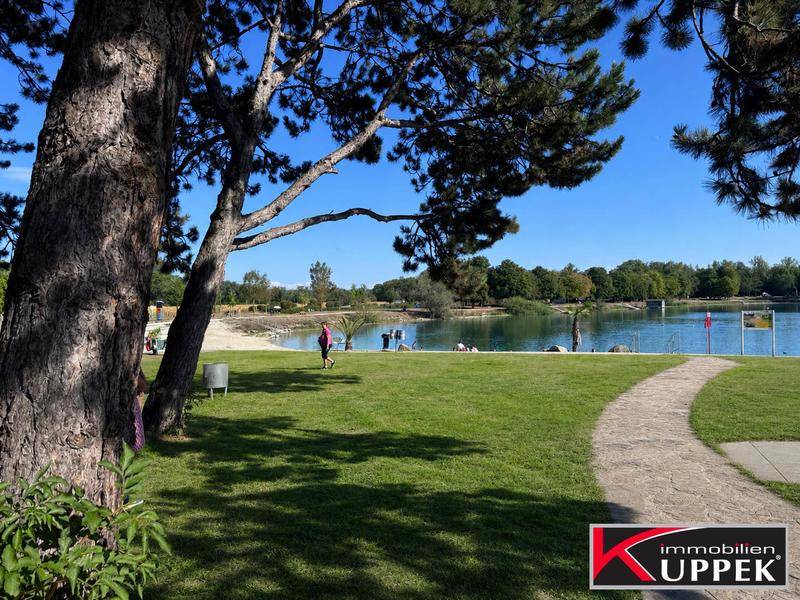 Oeder See in unmittelbarer Umgebung