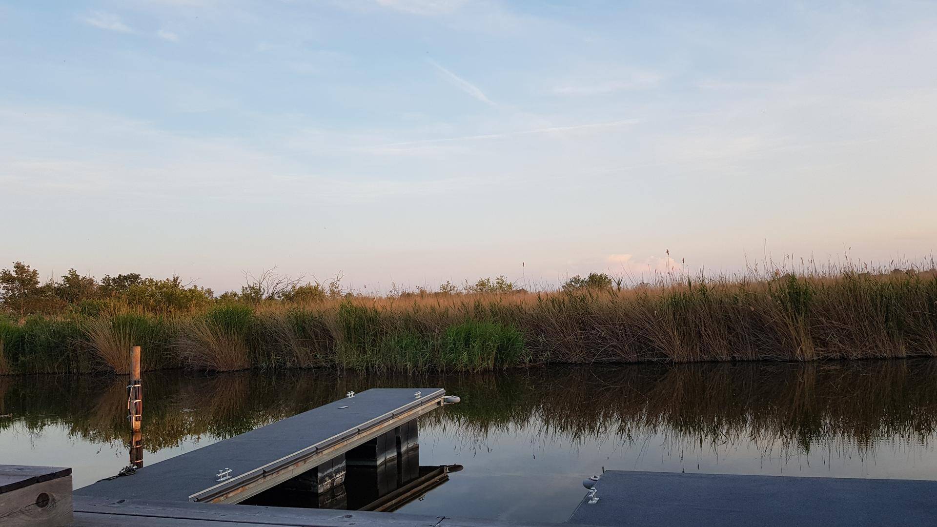 Hölzerner Steg, der in einen ruhigen Kanal mit Schilf am Ufer ragt.