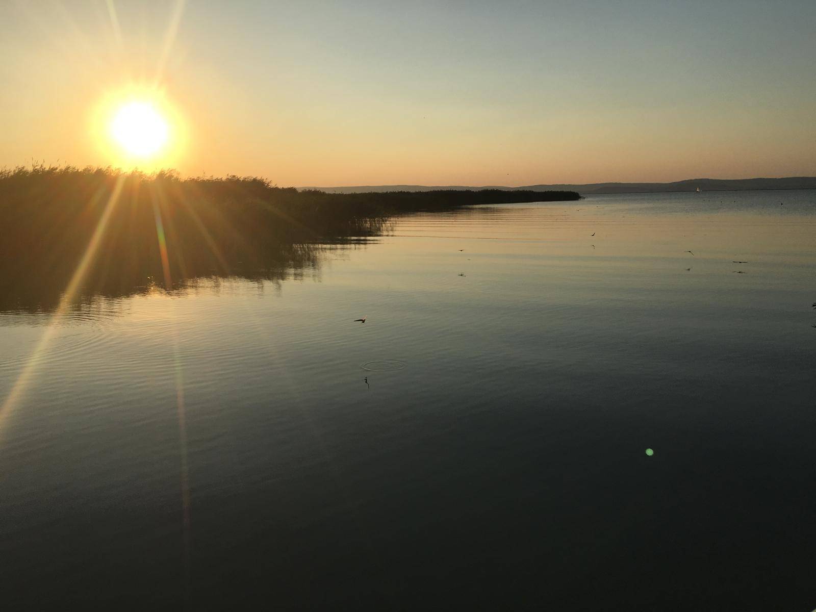 Wunderschöner Sonnenuntergang über dem See, mit Schilf am Ufer.