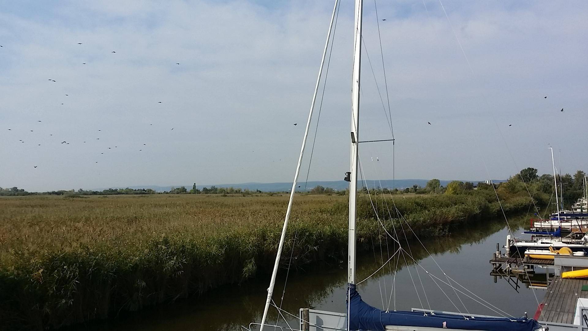 Blick von einem Segelboot auf einen Kanal mit Schilf und weitem Land im Hintergrund.
