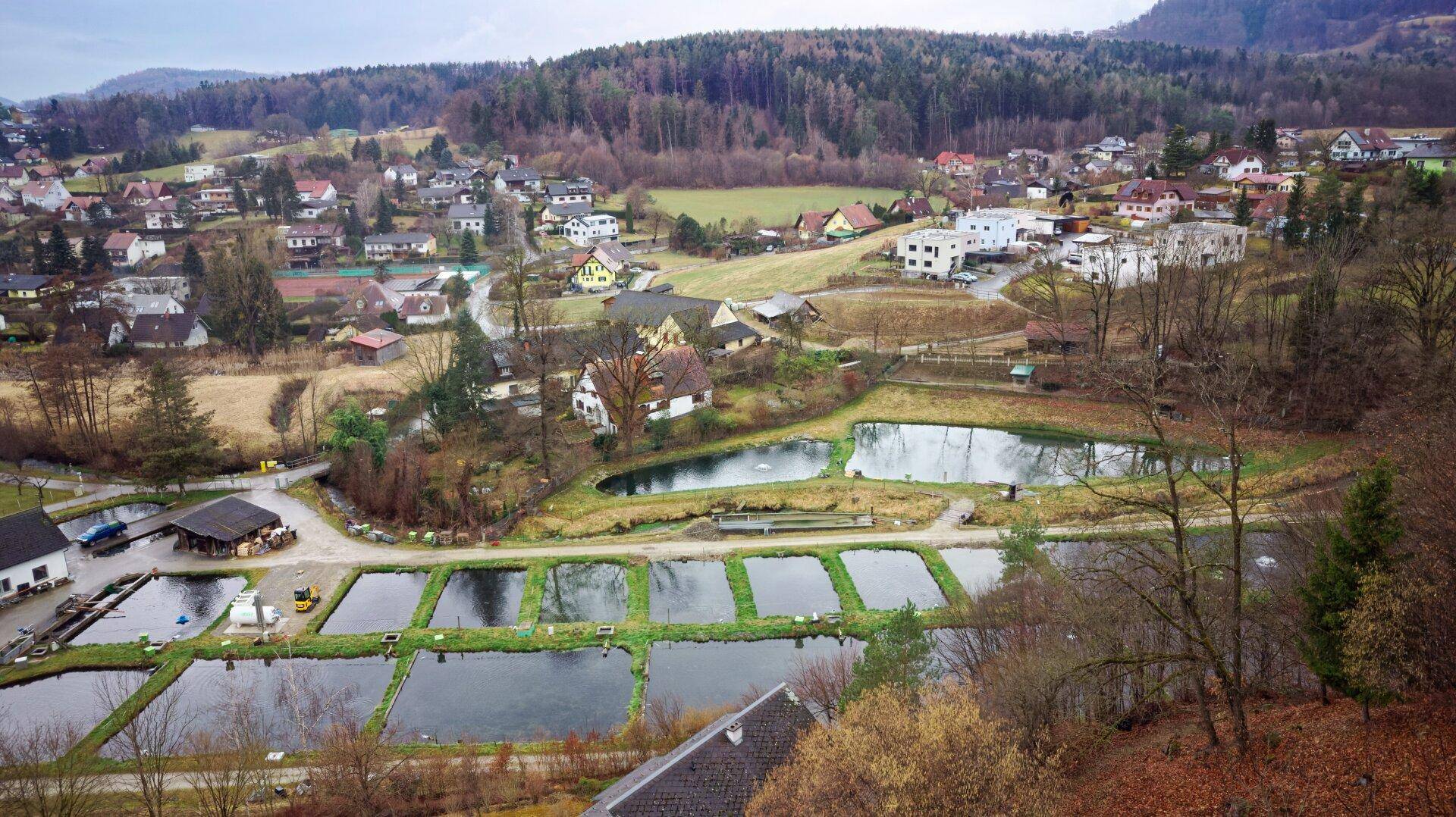 Sonniges Baugrundstück mit traumhafter Aussicht in Stattegg - Ansicht 5