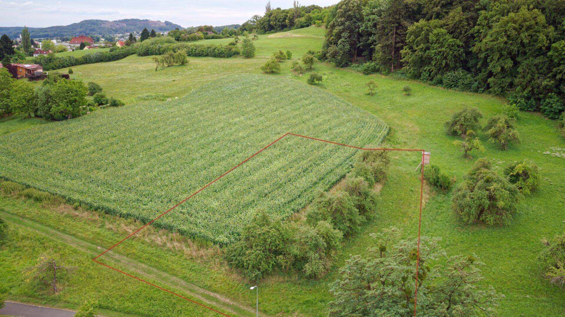 Luftaufnahme eines landwirtschaftlichen Feldes mit roter Grundstücksgrenze und umliegender Natur.