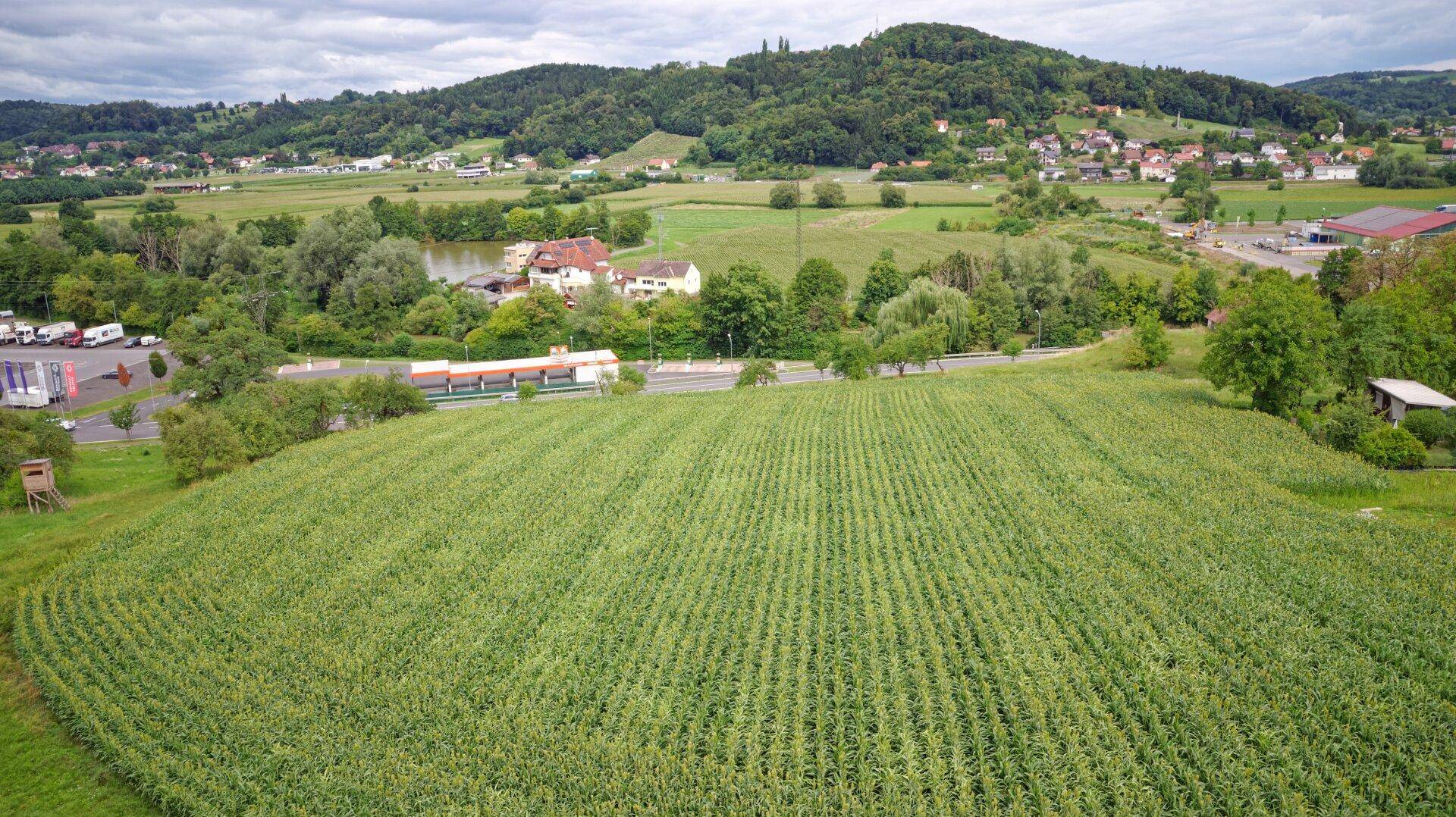 Weitläufige Luftaufnahme eines Feldes mit ländlicher Umgebung, Häusern und bewaldeten Hügeln im Hintergrund.