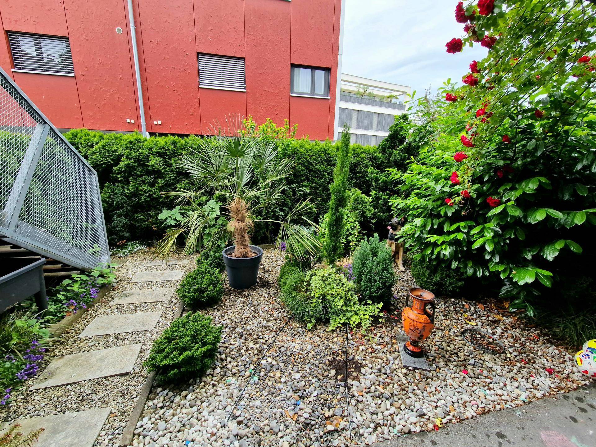 Mediterran gestalteter Gartenbereich mit Kies, verschiedenen Pflanzen und einem Rosenstrauch.