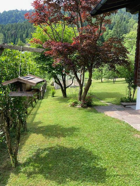 Vogelhäuschen in einem weitläufigen Garten mit roten Ahornbäumen und grüner Wiese.