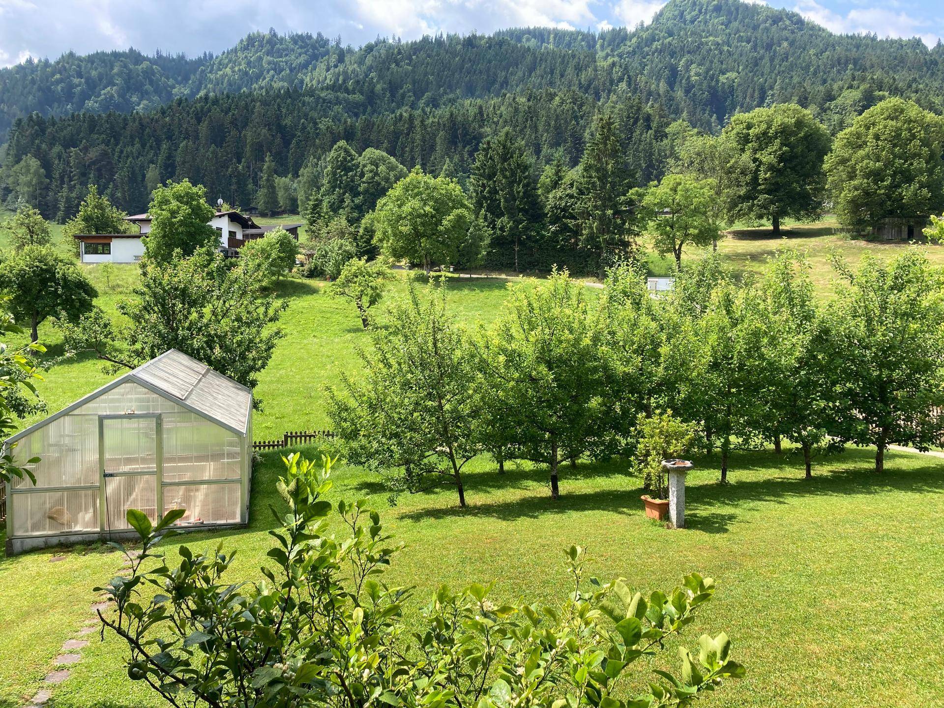 Panoramablick über einen großen Garten mit Gewächshaus, Obstbäumen und Bergkulisse.
