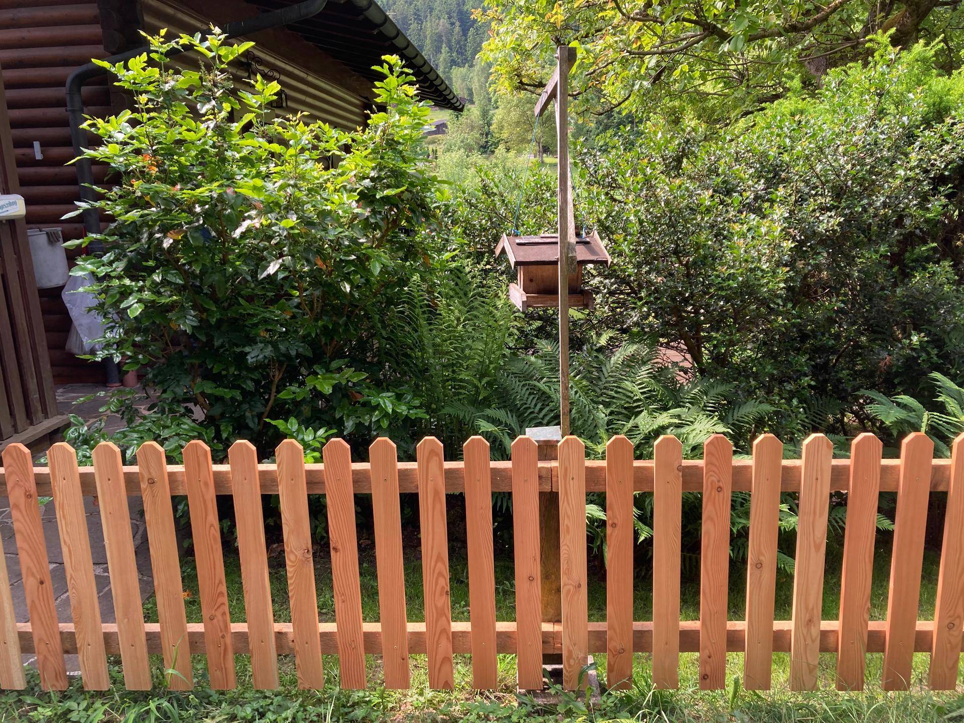 Holzzaun und Vogelhäuschen in einem grünen Gartenbereich mit dichtem Buschwerk.