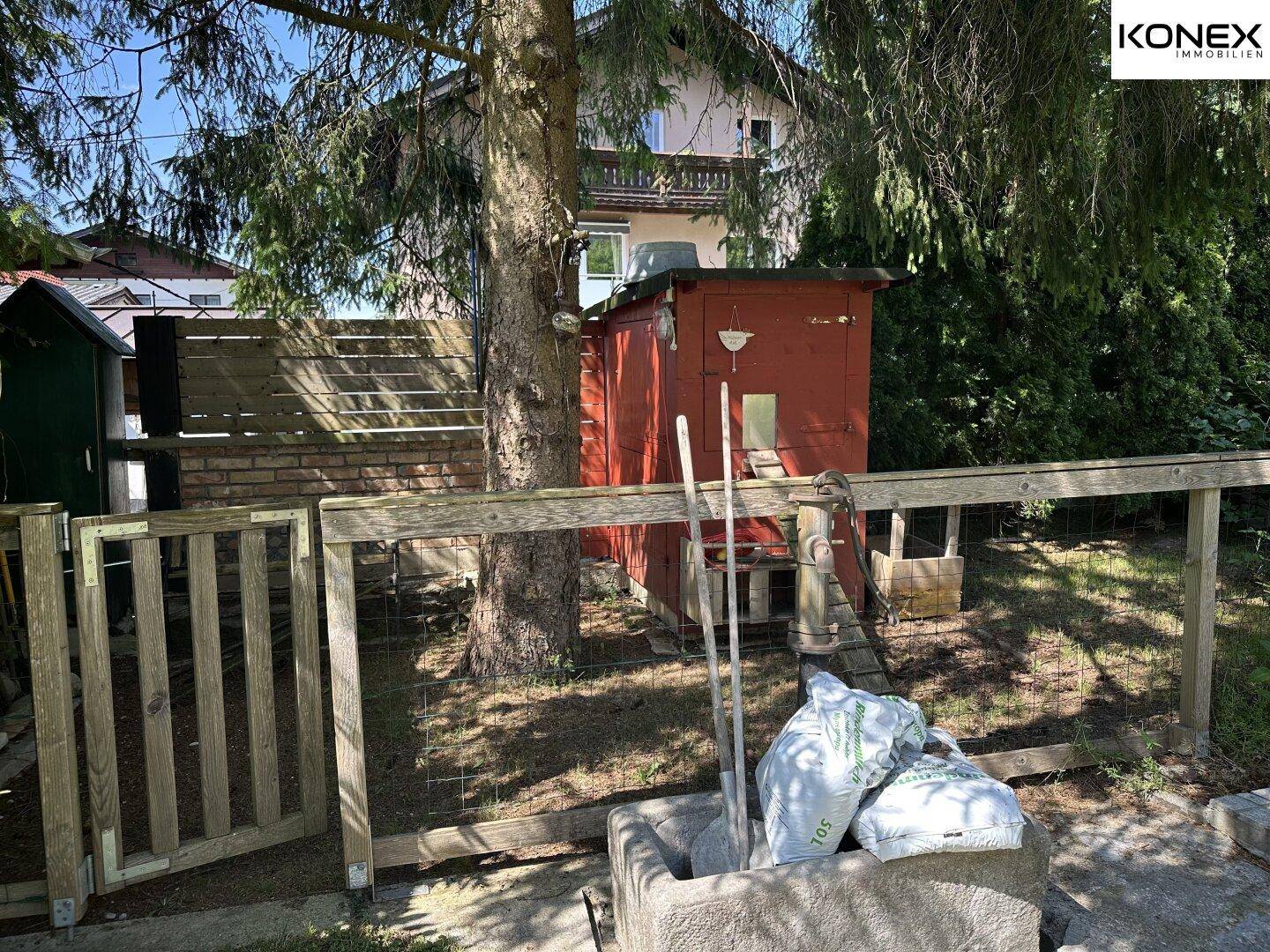 Gartenbereich mit Holzzaun, hohen Bäumen und einem roten Gartenschuppen.
