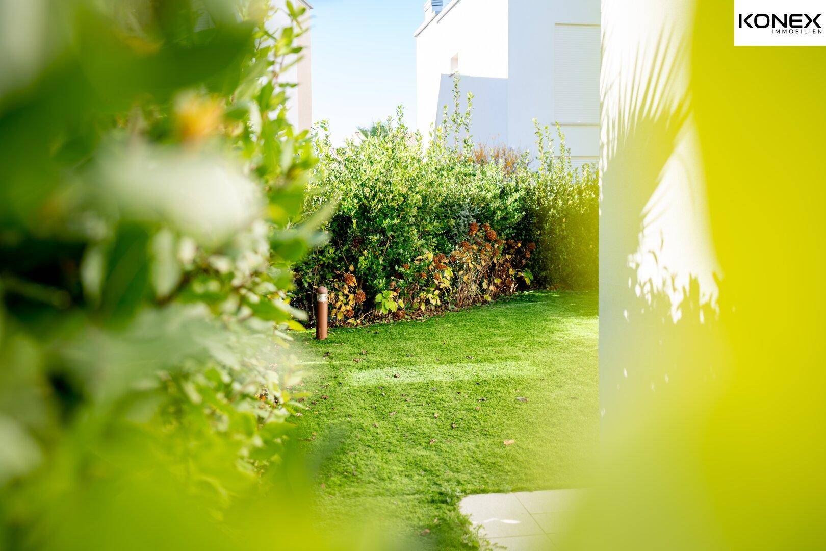 Sonniger Gartenbereich mit Rasen und Hecken, gesehen durch grüne Blätter im Vordergrund.