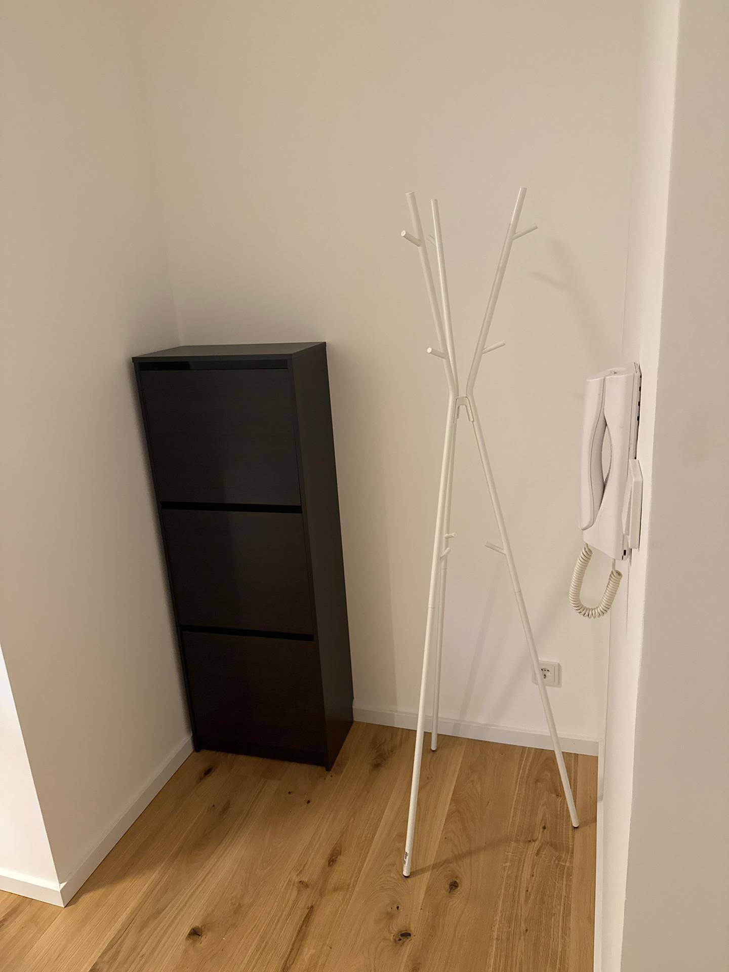 Eingangsbereich mit Holzboden, Schuhschrank und Garderobe, praktisch und funktional.
