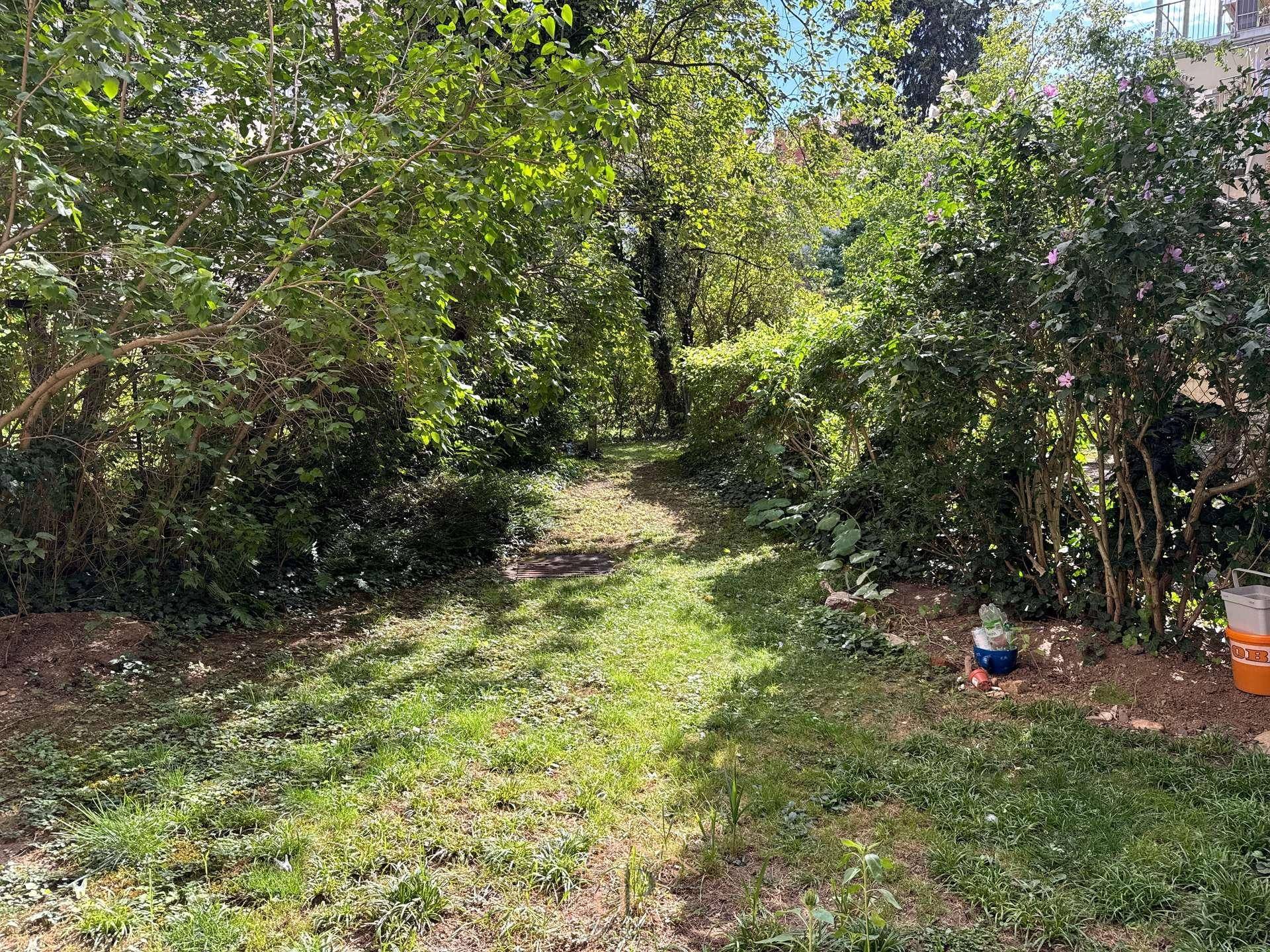 Großer, naturbelassener Gartenbereich mit Rasenfläche und altem Baumbestand.