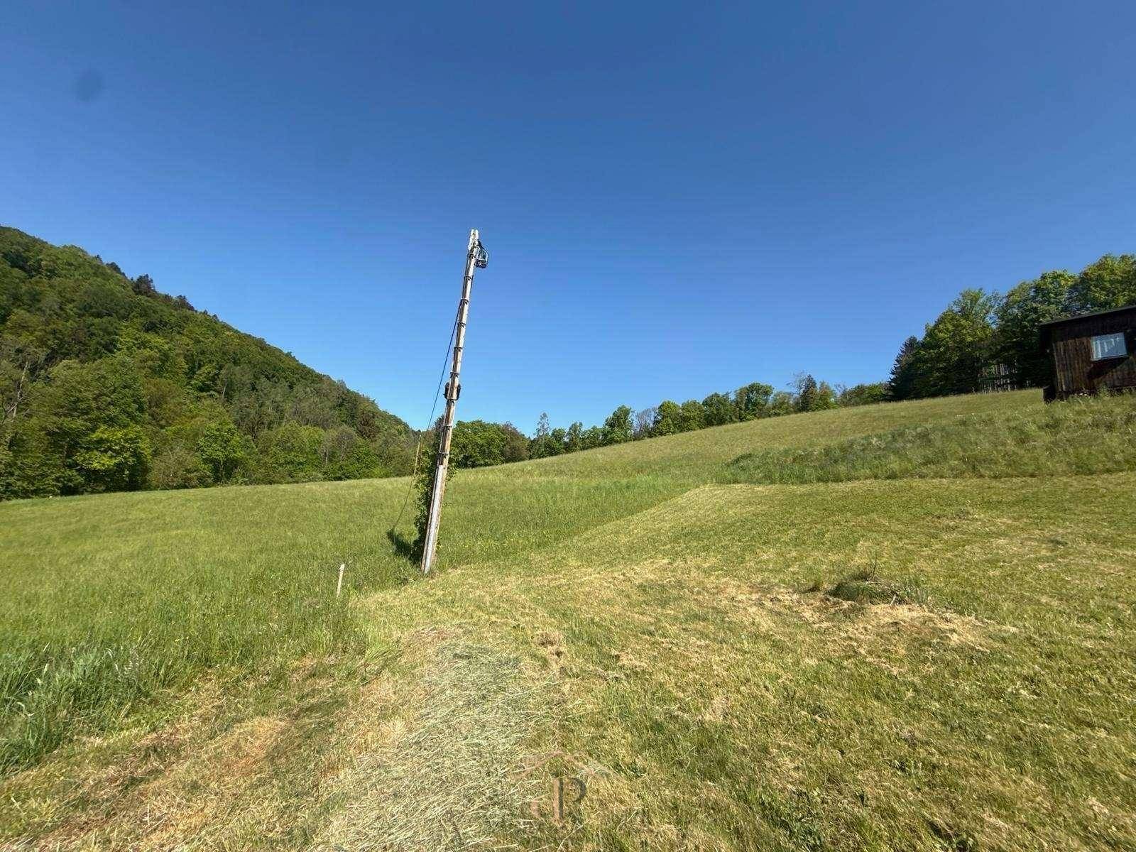Grünes Hanggrundstück mit weitem Blick auf die bewaldeten Hügel unter strahlend blauem Himmel.