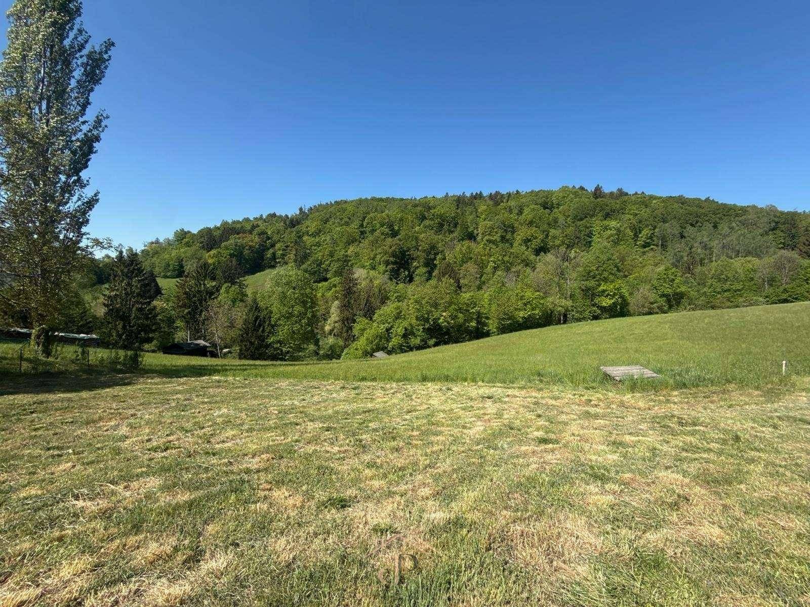 Idyllische Grünfläche mit weitem Blick auf den dichten Wald und die umliegende Natur.
