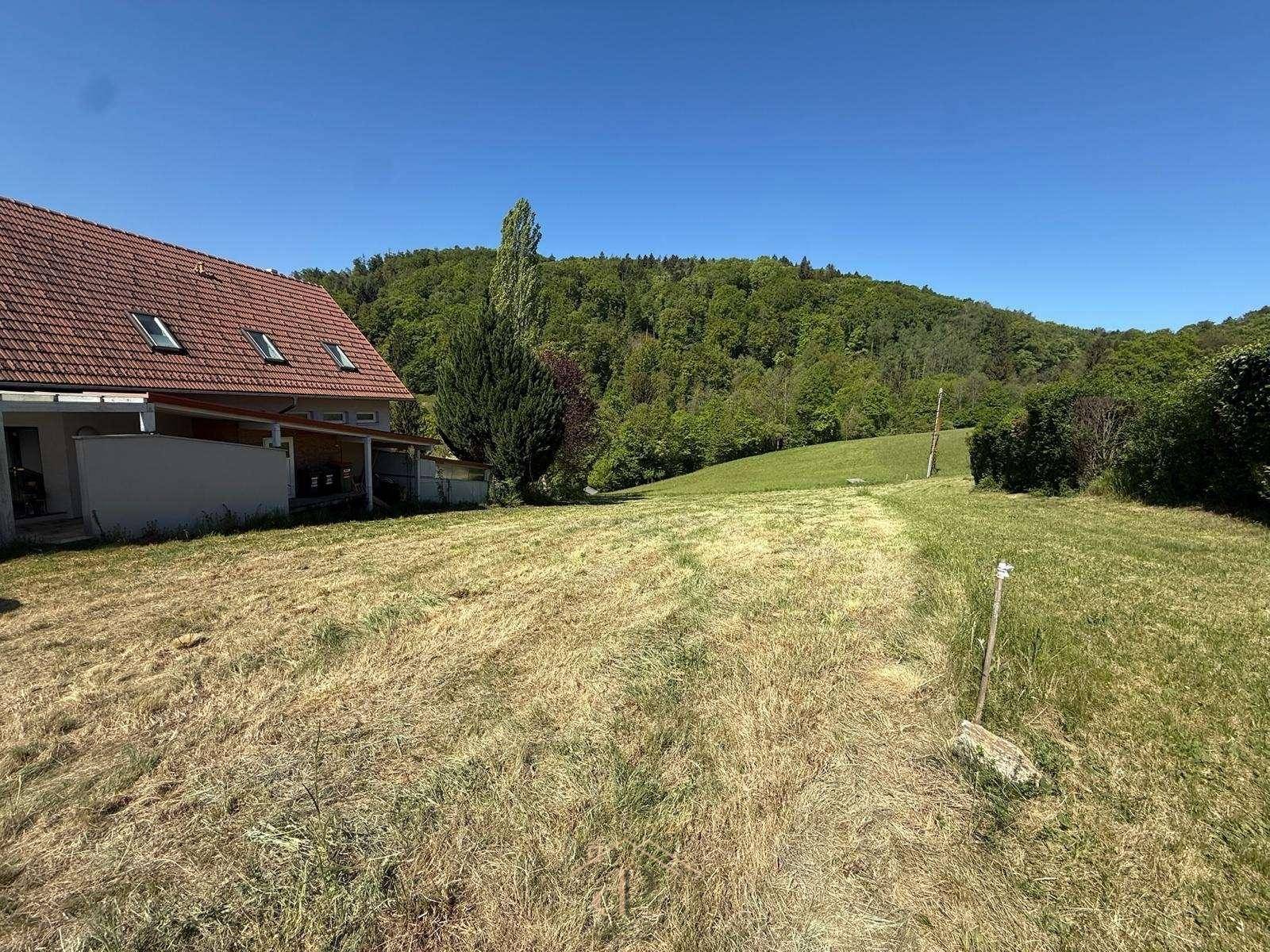 Großes Rasengrundstück mit angrenzendem Haus und weitem Blick auf den bewaldeten Hügel.