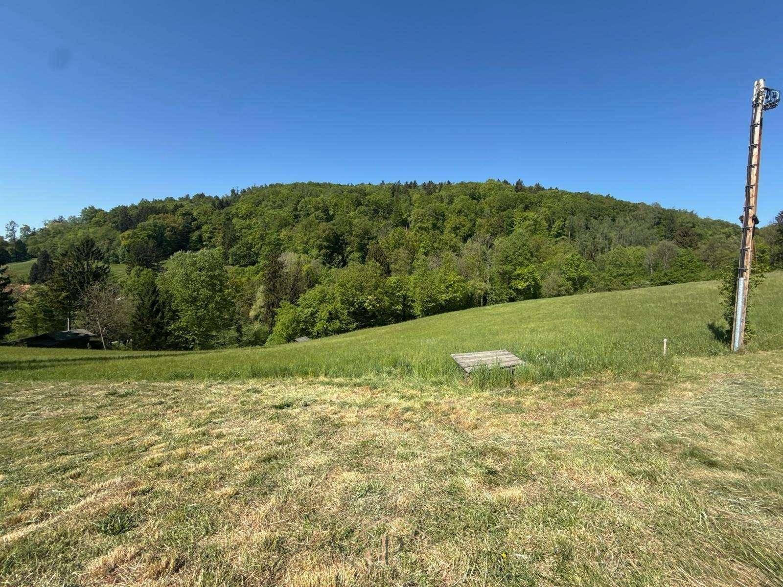 Offene Wiesenfläche mit weitem Blick auf den dichten Wald und die unberührte Natur.