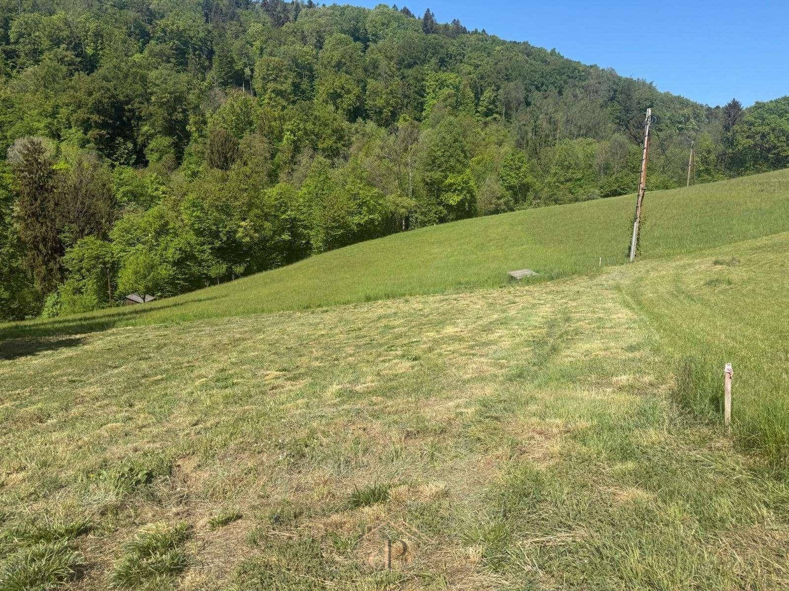 Weitläufige Grünfläche mit sanftem Hang und Panoramablick auf die umliegenden Wälder.