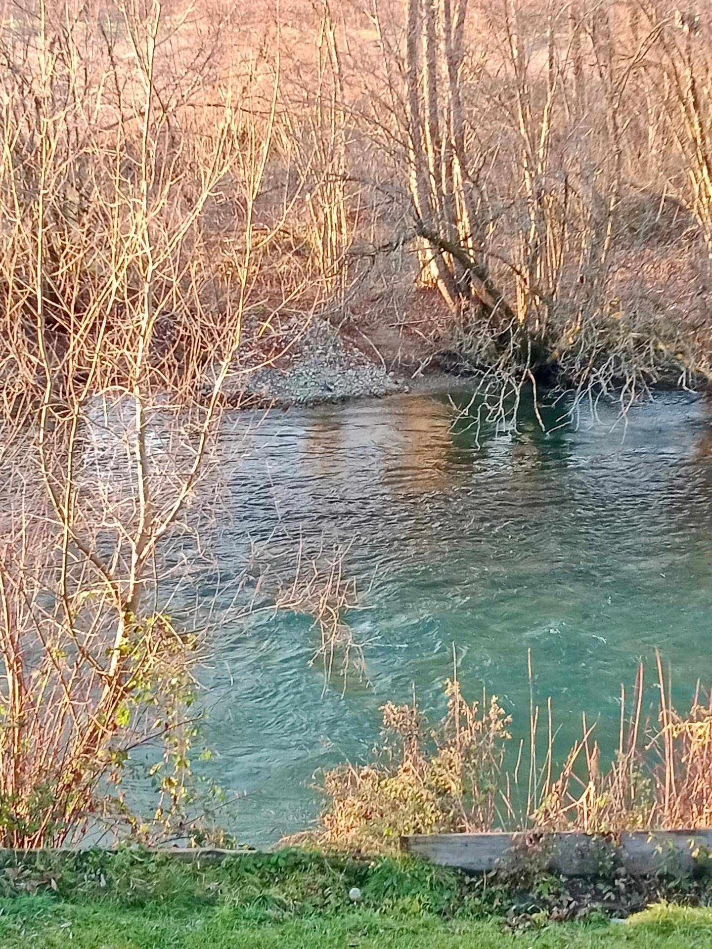 Ruhiger Flusslauf mit kahlen Bäumen am Ufer, eingefangen in warmem Licht.