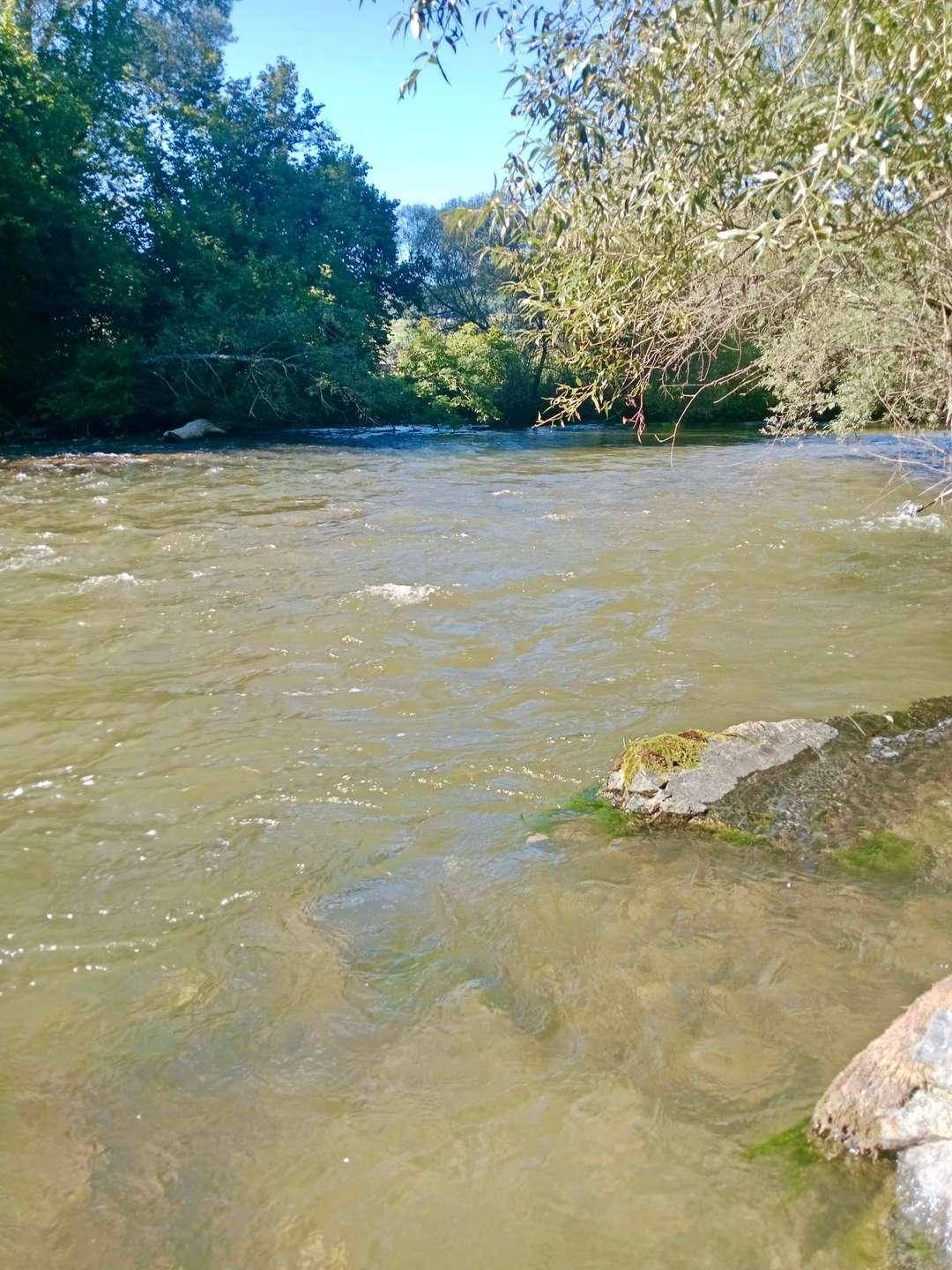 Breiter Flusslauf mit klarem Wasser und bewachsenen Ufern unter blauem Himmel.