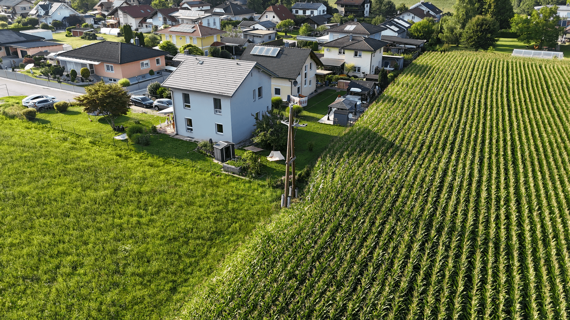 Haus 1.4