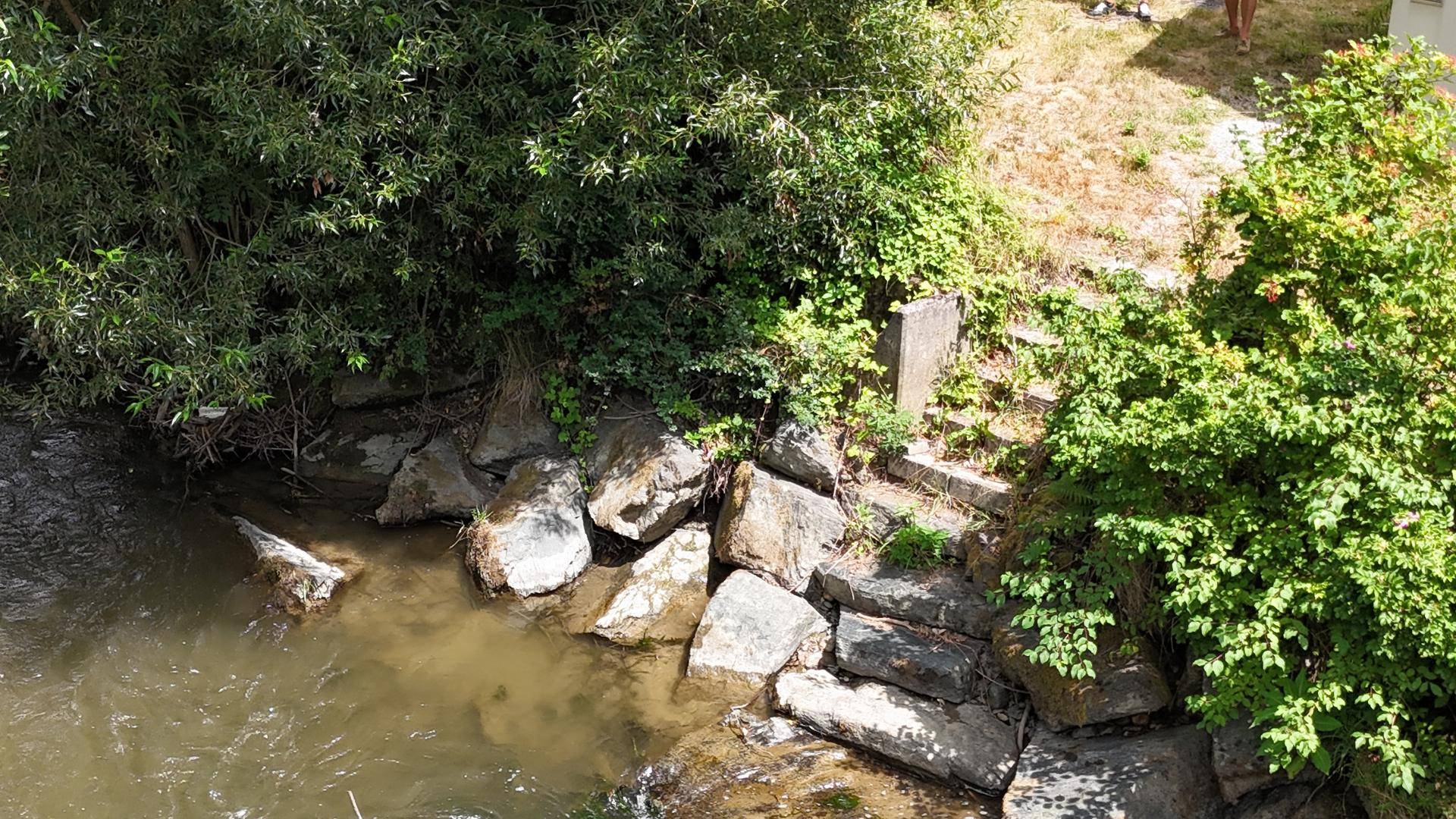 Nahaufnahme des Flussufers mit großen Steinen, kleinen Stufen und grünen Büschen.