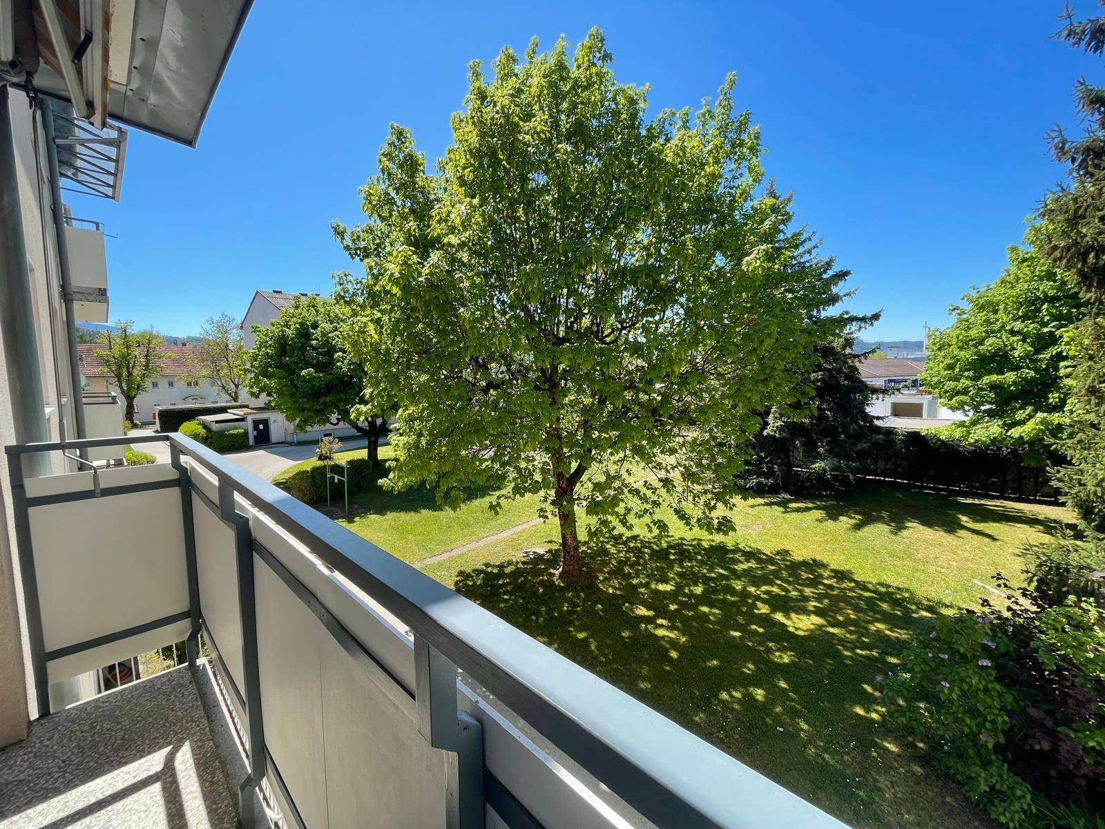 Balkon mit Blick auf den grünen Innenhof und alte Bäume.