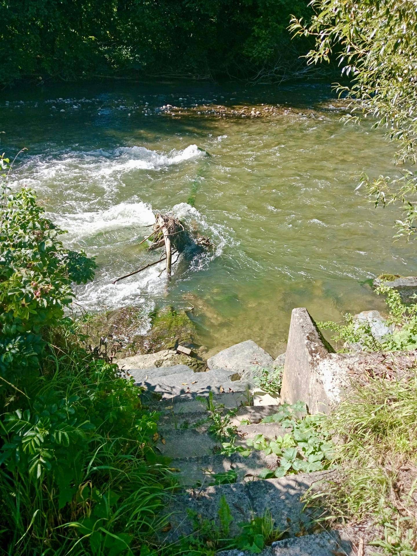 Betontreppe führt hinunter zum klaren Flusswasser, umgeben von üppigem Grün.