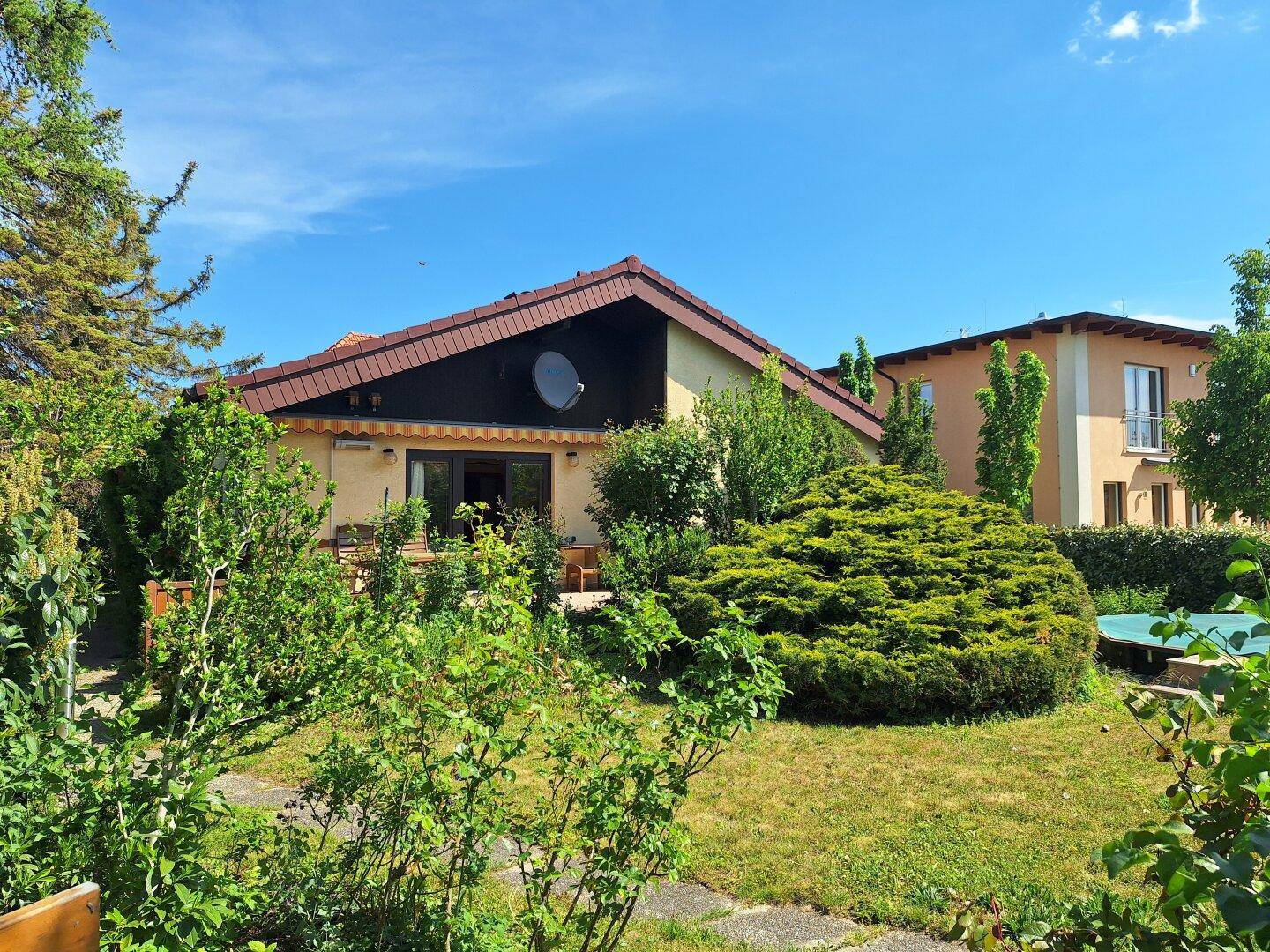 Gepflegter Garten mit Rasenfläche und üppiger Bepflanzung rund um das Haus.