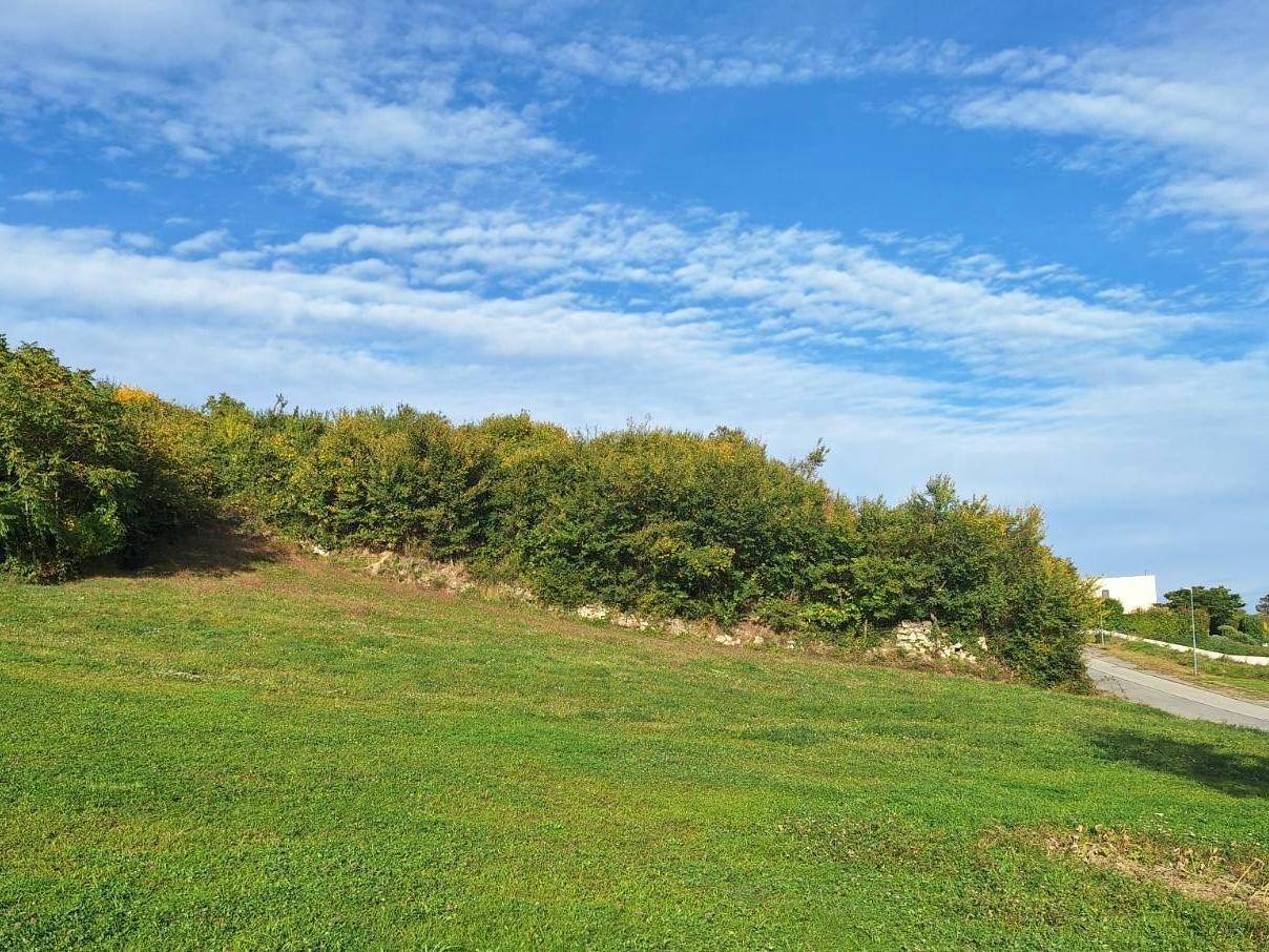 Offenes grünes Grundstück mit bewachsenem Hang und weitem Blick unter blauem Himmel.