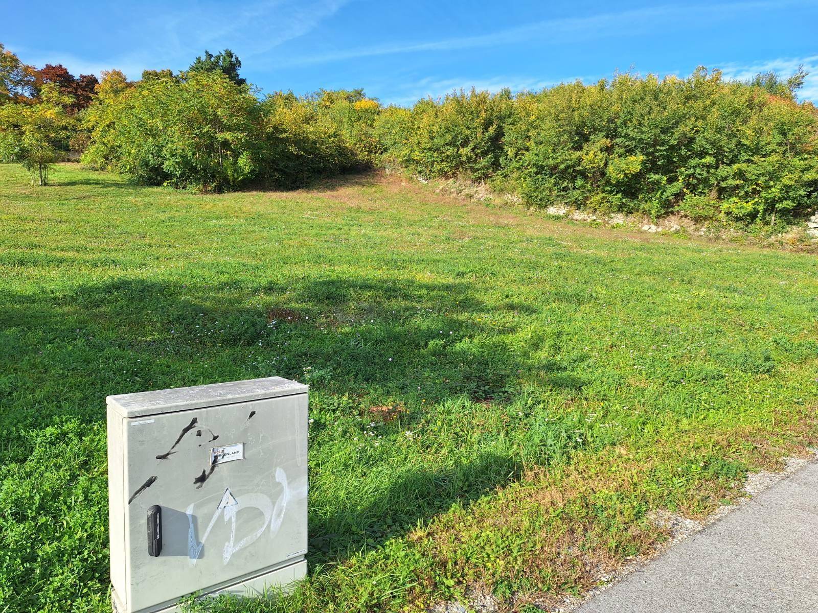 Weitläufiges grünes Grundstück mit einem Stromkasten im Vordergrund und bewaldetem Hintergrund.